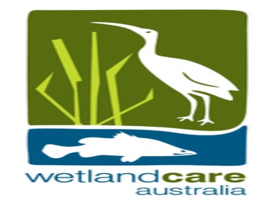 WetlandCare Australia National Art and Photography Competition now open