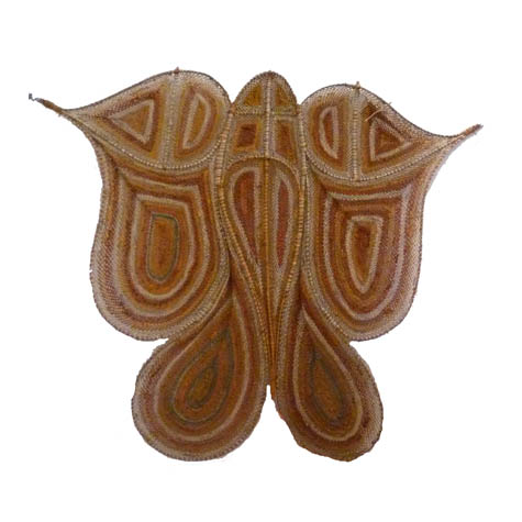 ButterflyIt is well known that Aboriginal art often depicts images of sacred totems or dreamings of Aboriginal culture. However