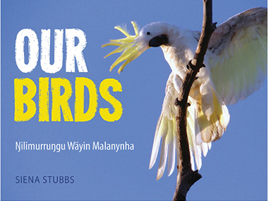Siena Stubbs' Yirrkala Birds