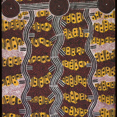 Storm Camps on the Rain Dreaming TrailThis artwork was part of a special slideshow feature for the exhibition Papunya Painting: Out of the Desert at the Australian Museum